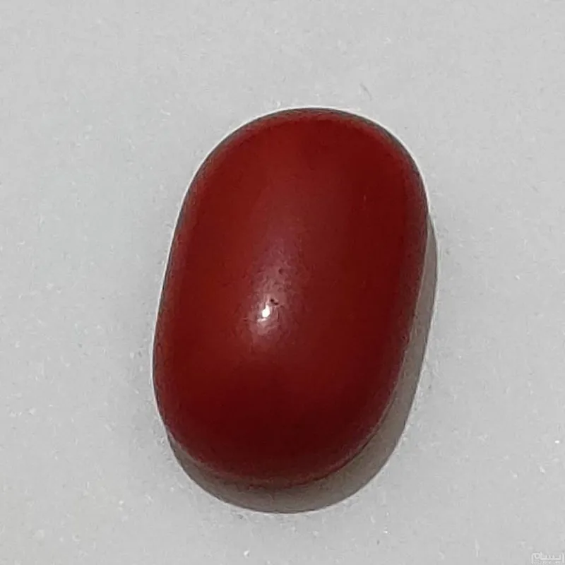 مرجان سرخ اصیل کلکسیونی