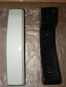 اسکلت