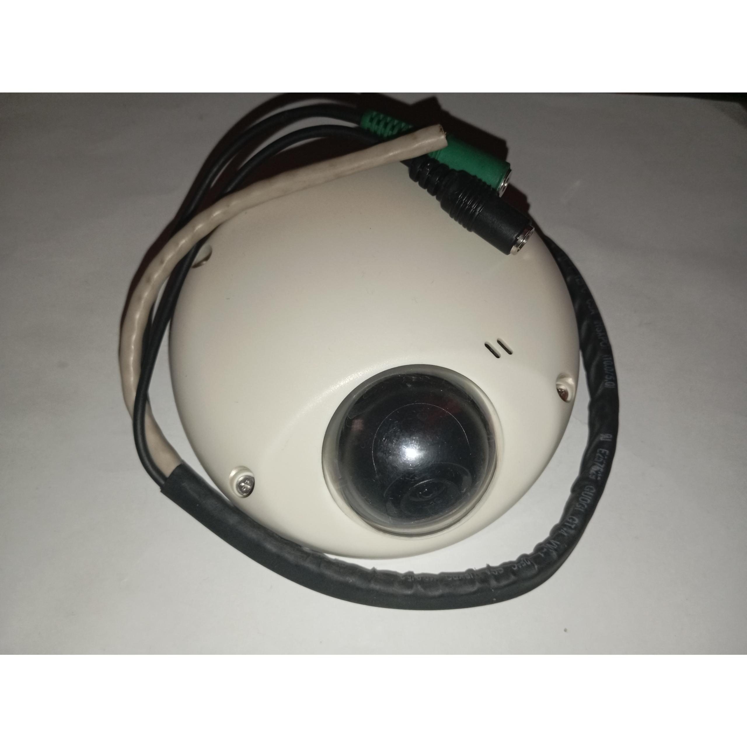 دوربین مداربسته دام IP، آنالوگ