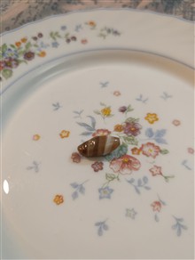 مهره