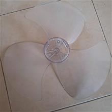 پروانه