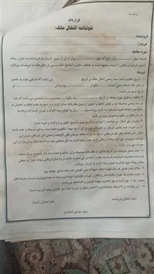 قولنامه