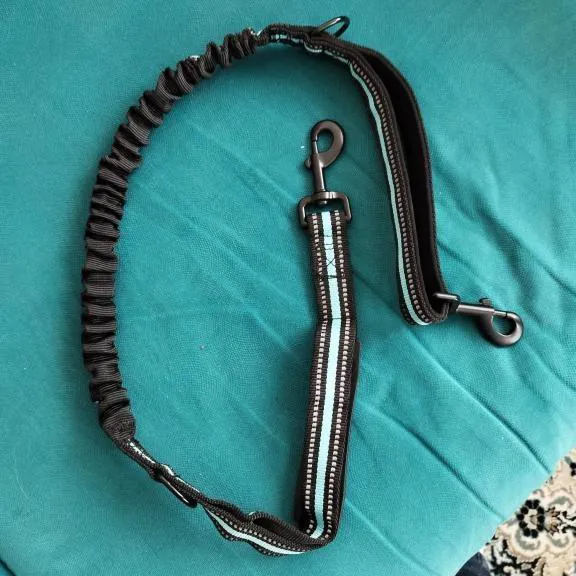 قلاده سگ ارتجاعی