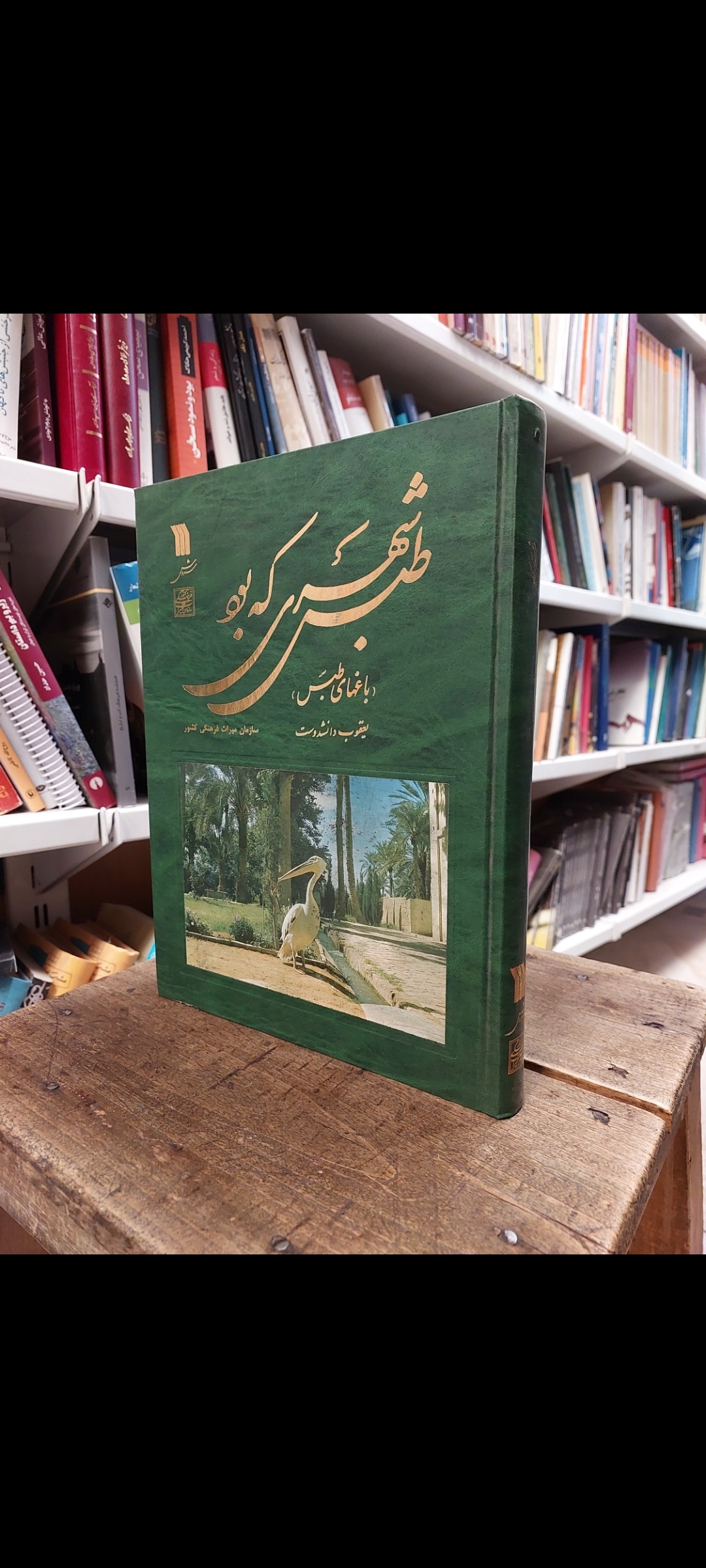 طبس شهری که بود