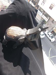 فیل