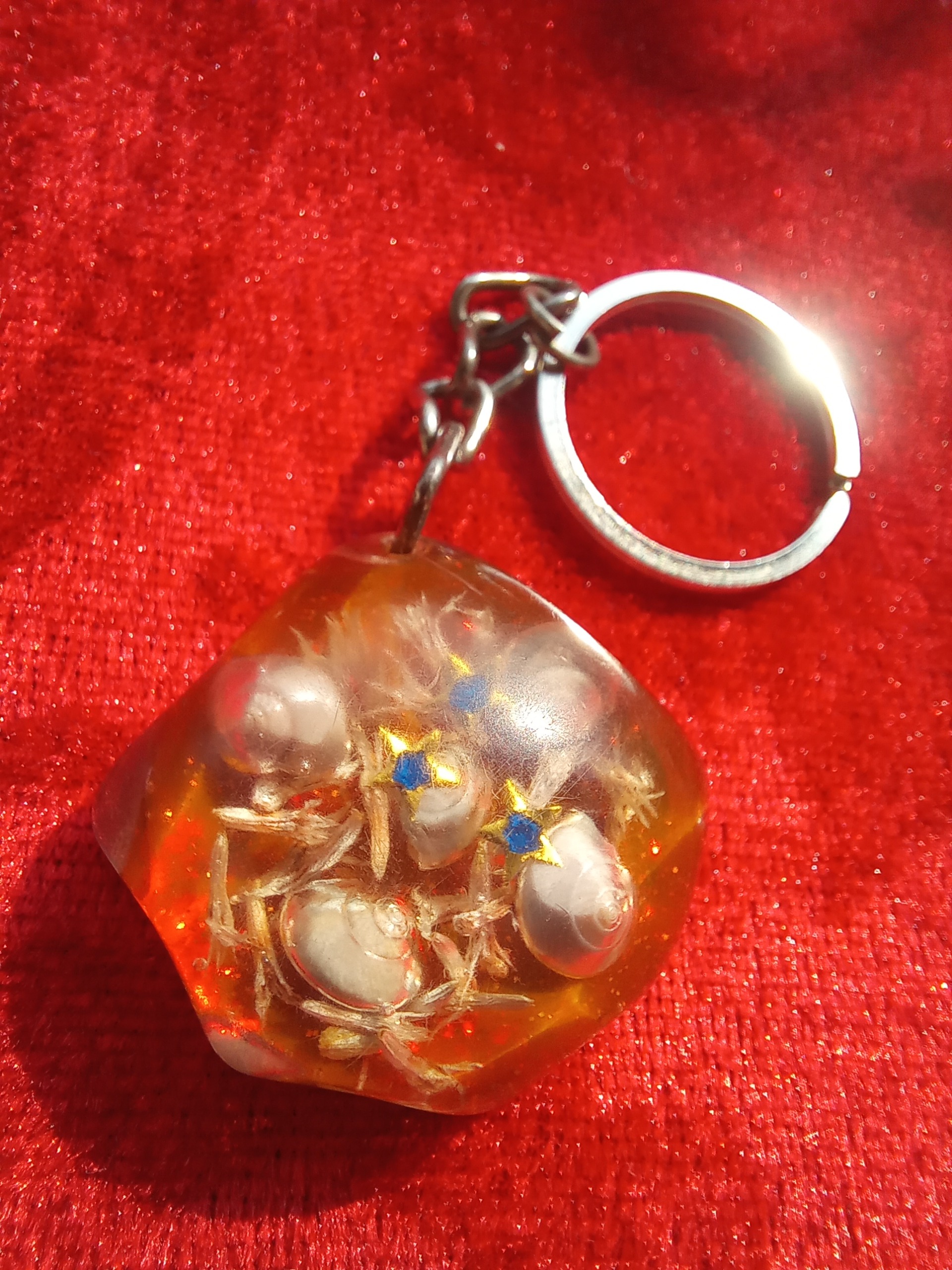 جاکلیدی زیبا