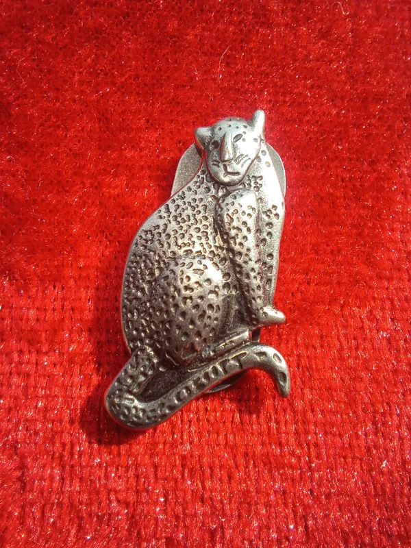 بج سینه ببر