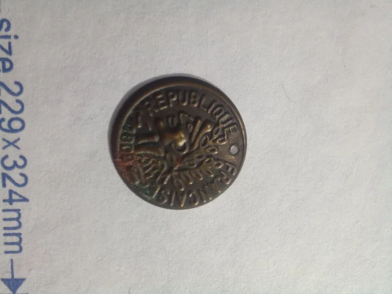 سکه پولک سرخپوست