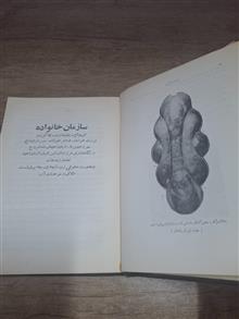تمدن