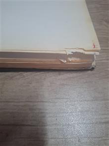 تمدن
