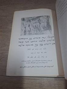 تمدن