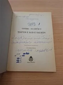 گزیده