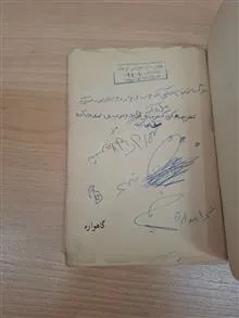 گاهواره