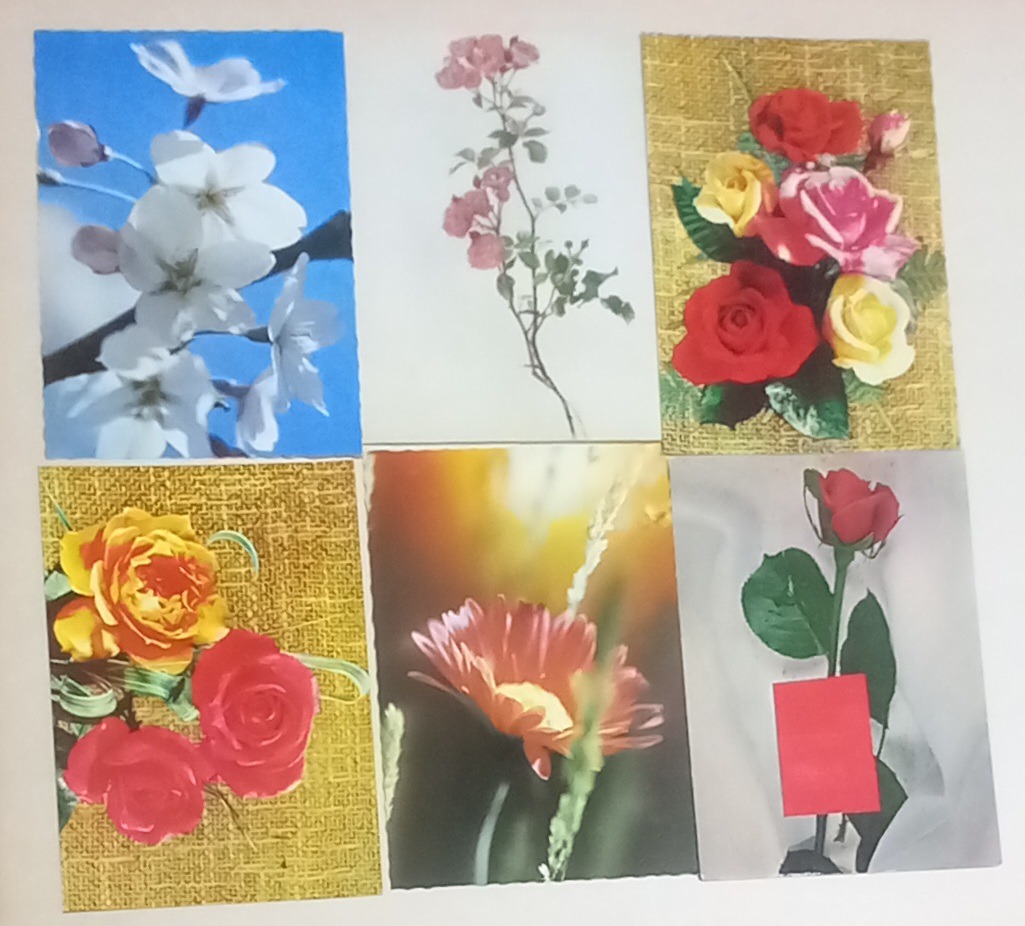 6کارت پستال قدیمی گل