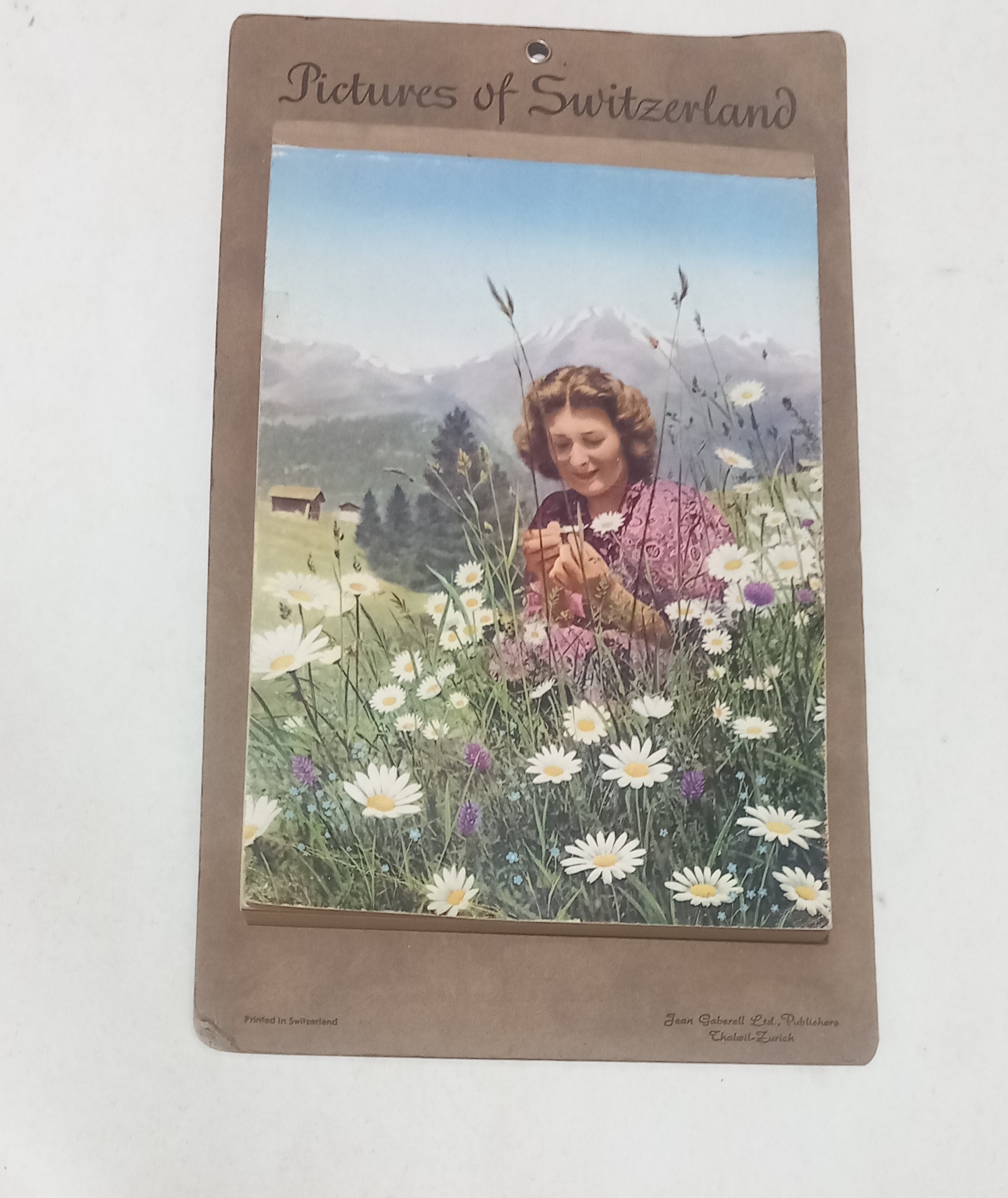 تقویم سال 1949 شیک خاص نایاب