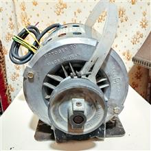 دینام