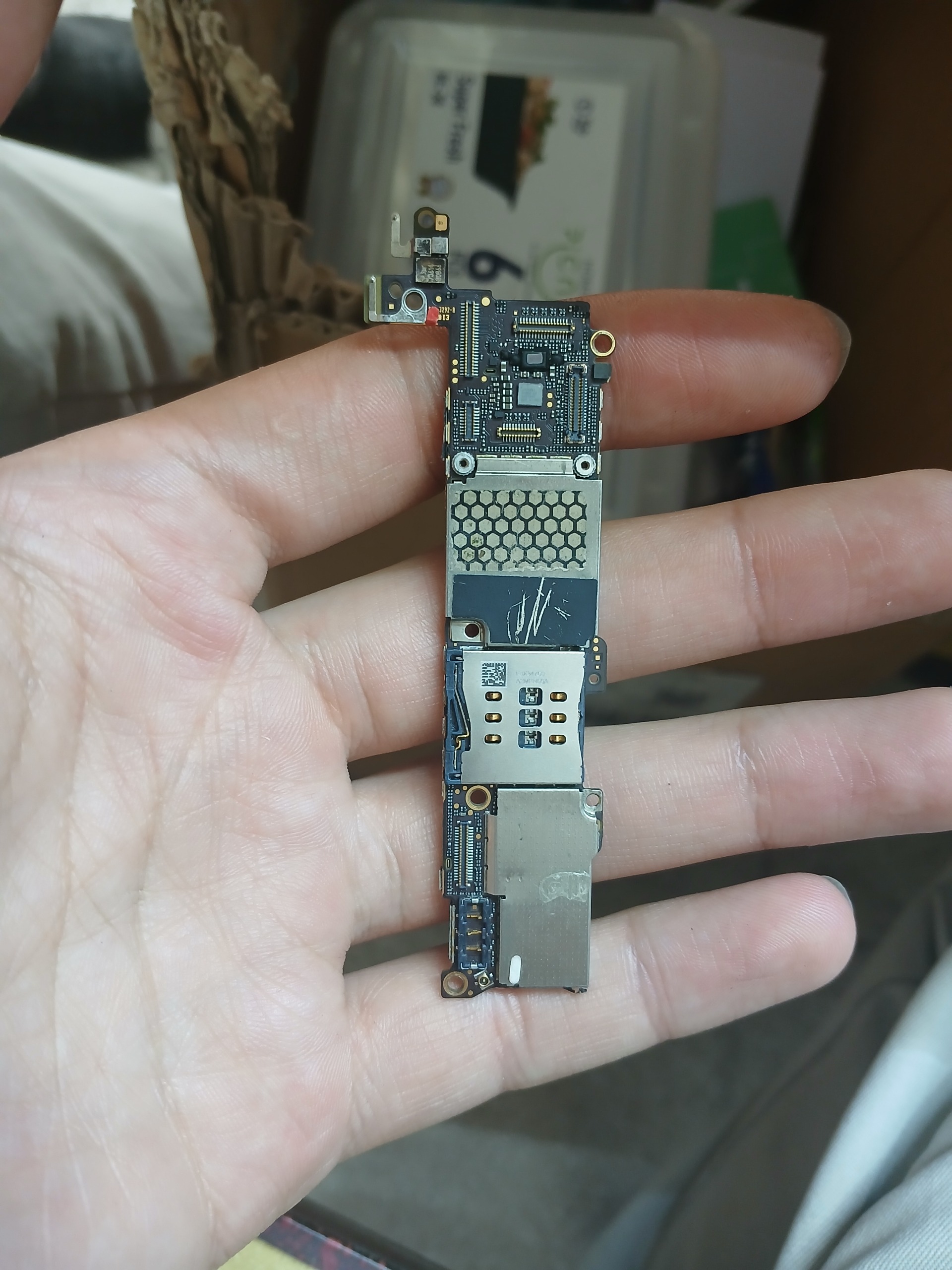 برد 5s ایکلود
