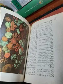 فرهنگ