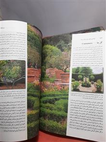 باغ