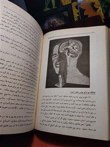 طب