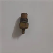 فشنگی