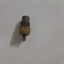 فشنگی