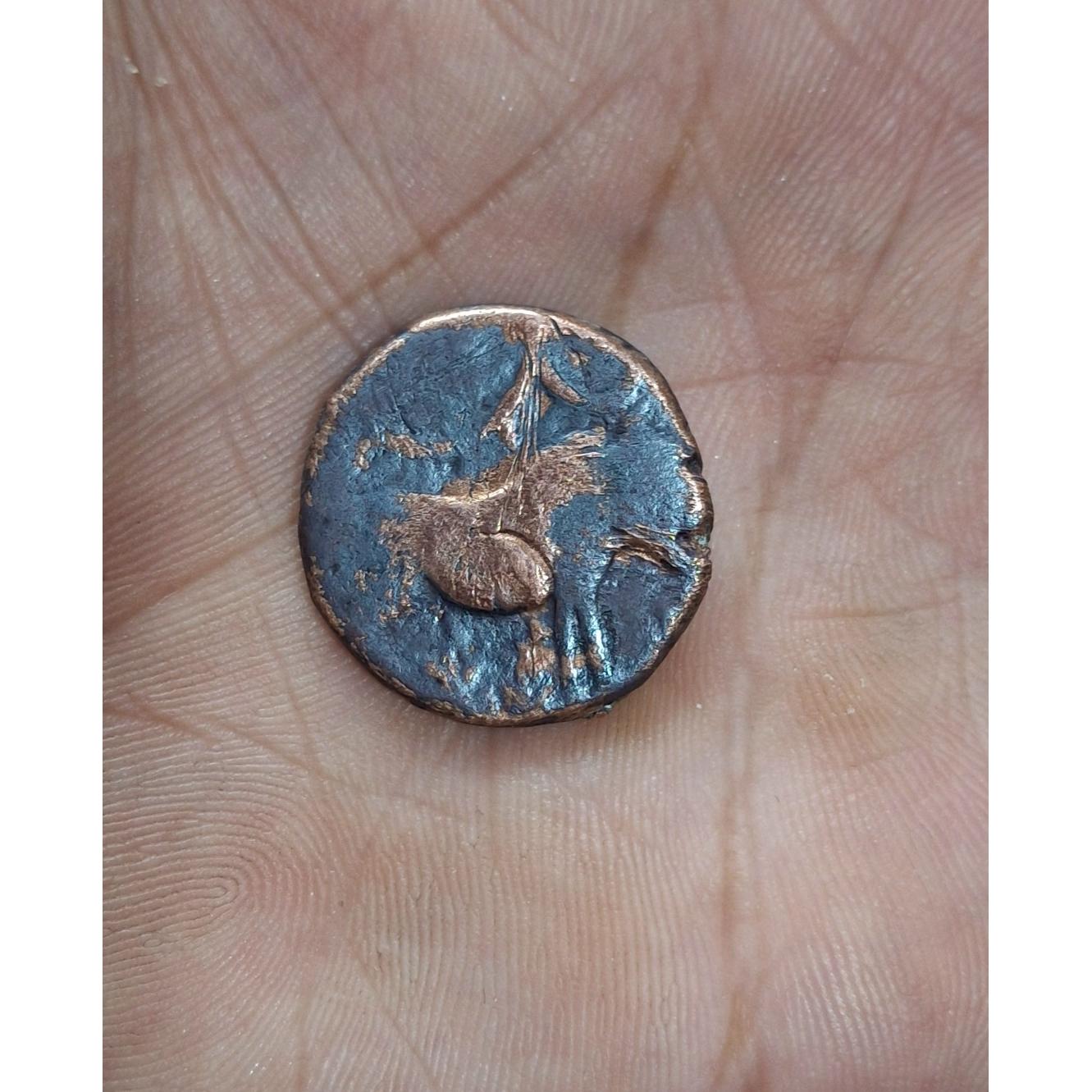 سکه فلوس مسی