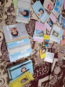 جلدنوارکاست