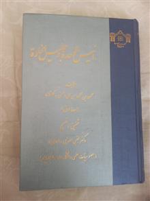 انیس