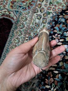مجسمه