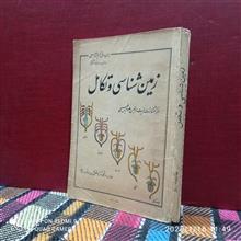 زمین