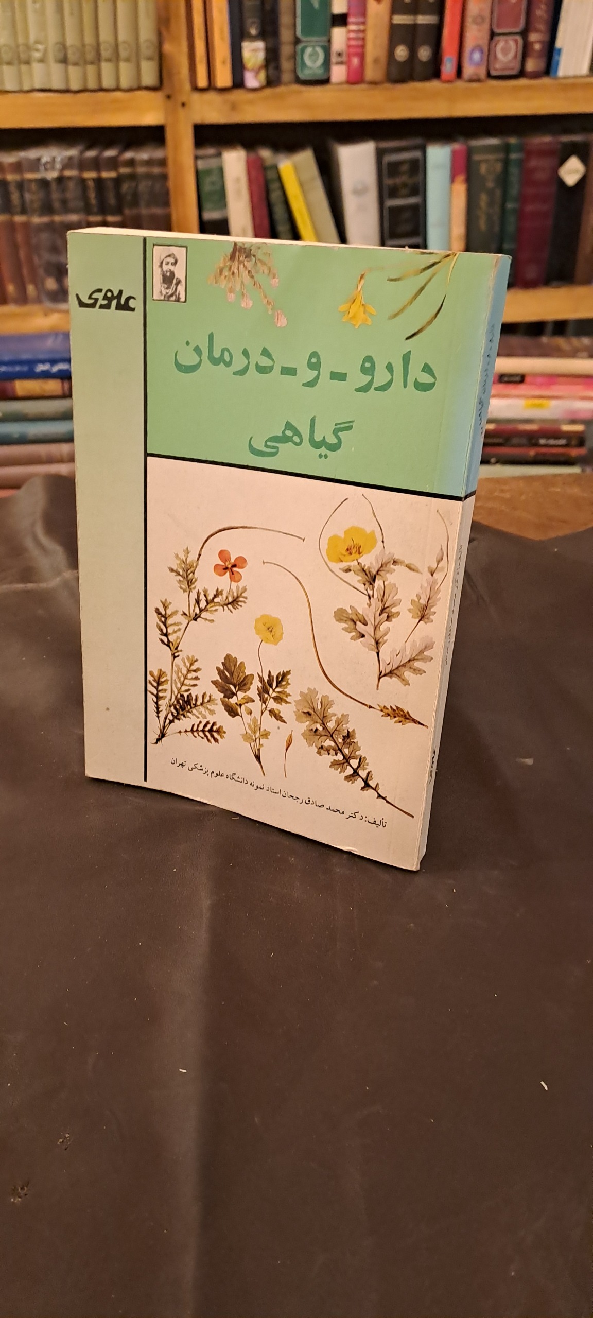 دارو و درمان گیاهی