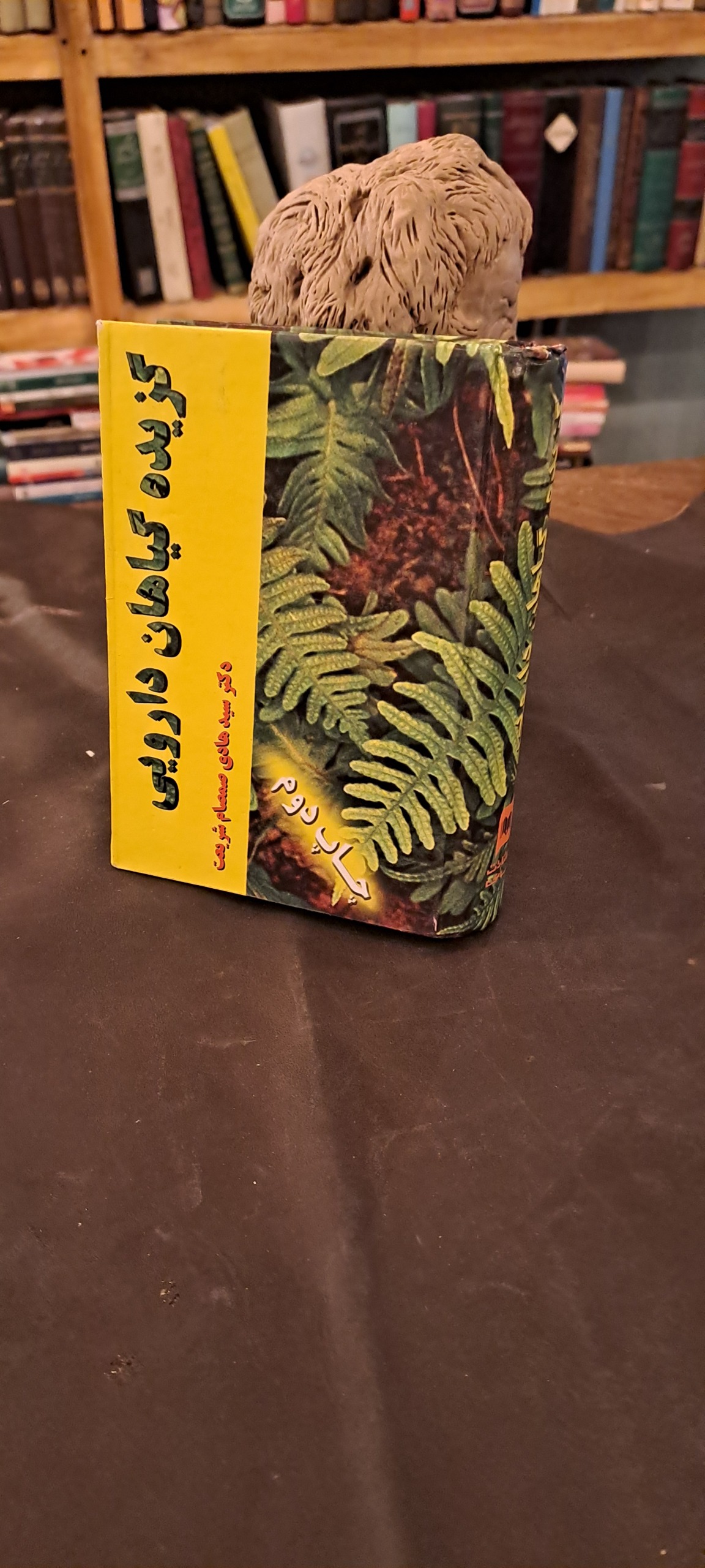 گزیده گیاهان دارویی