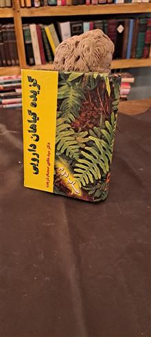 گزیده
