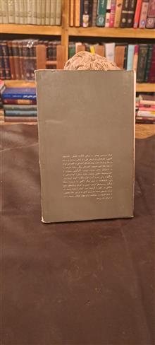 محیط