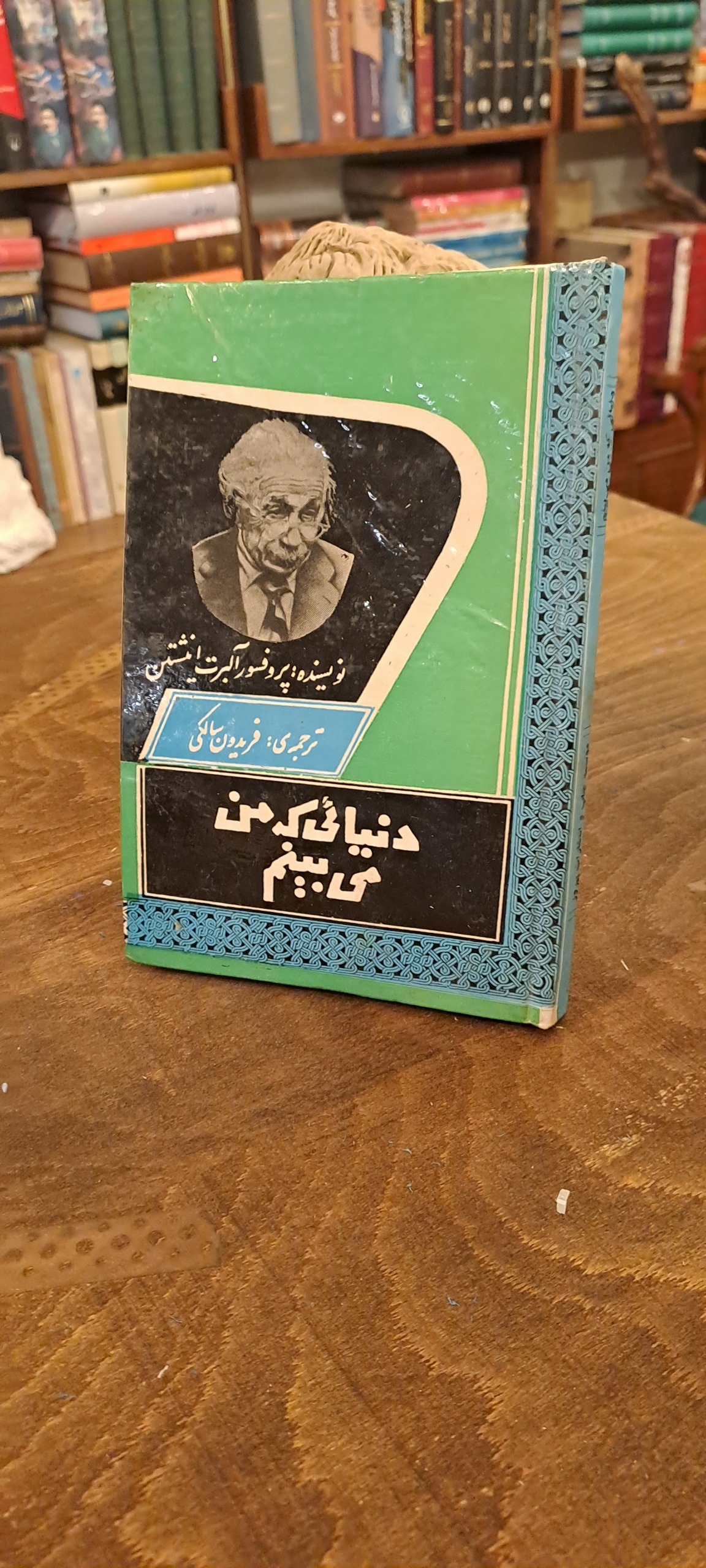 دنیائی که من میبینم
