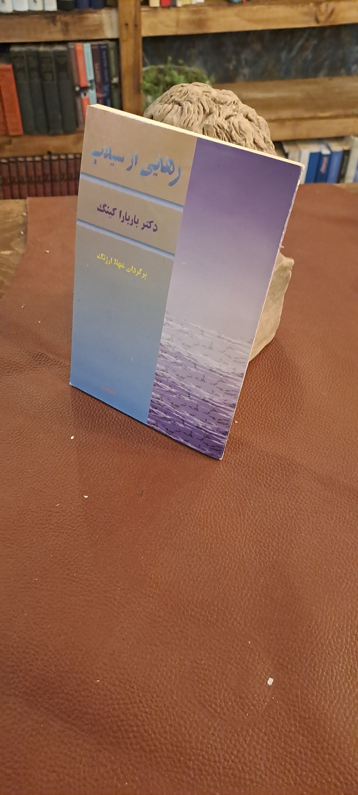 رهایی از سیلاب