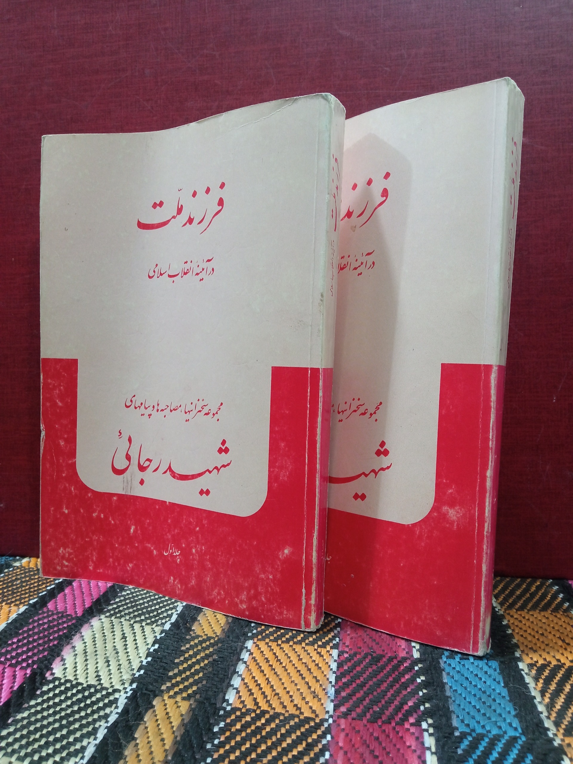 فرزند ملت (2جلد)