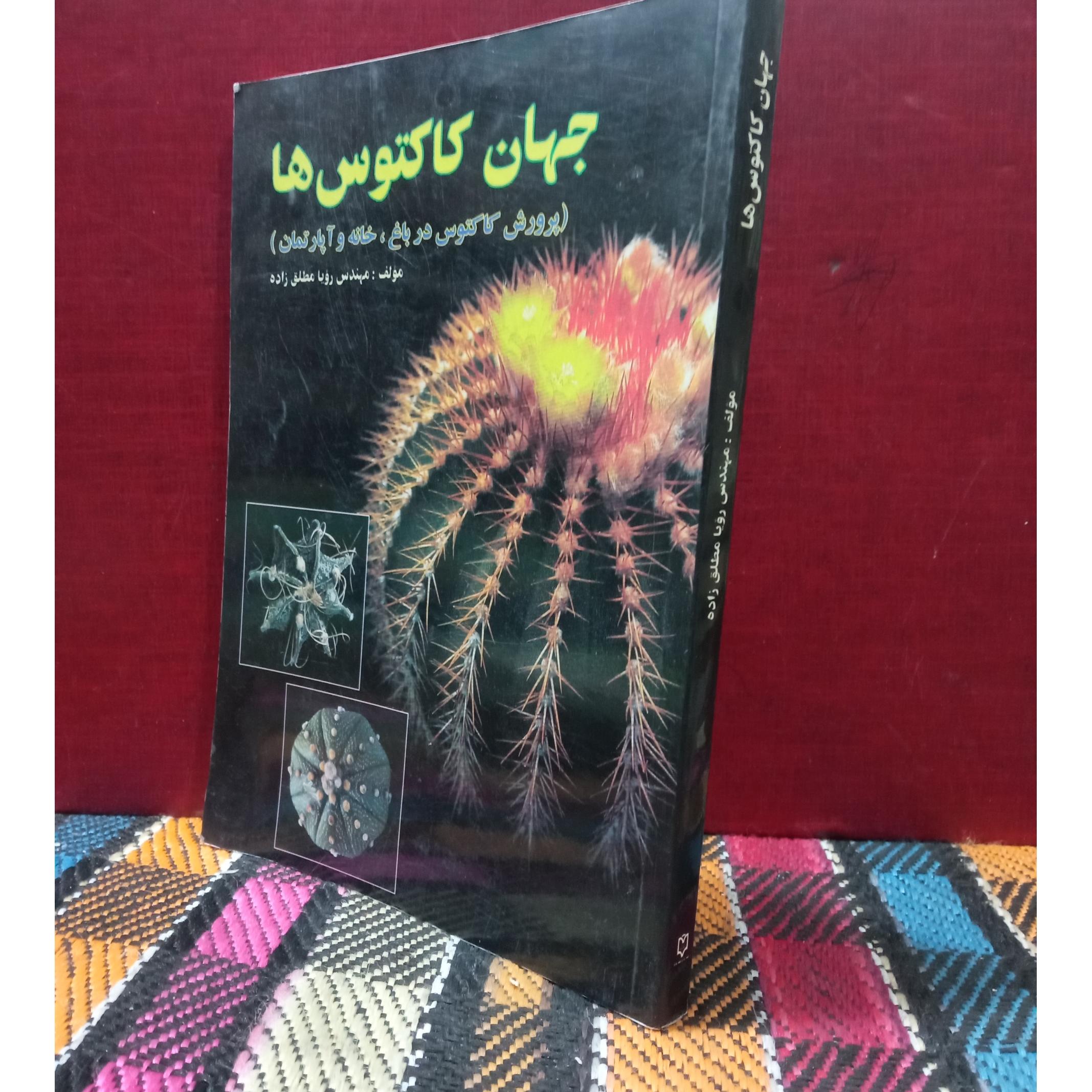 جهان کاکتوس ها