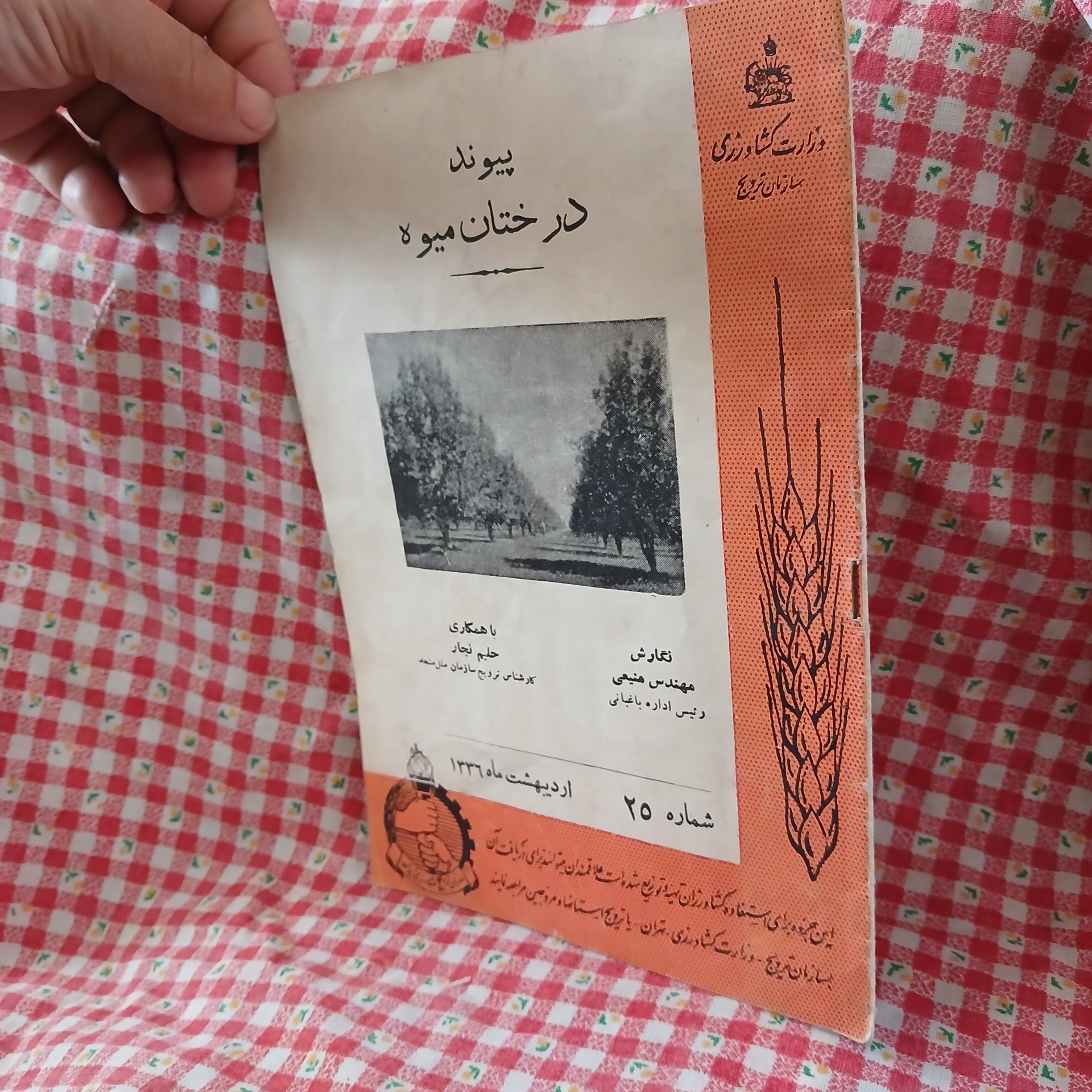پیوند درختان میوه
