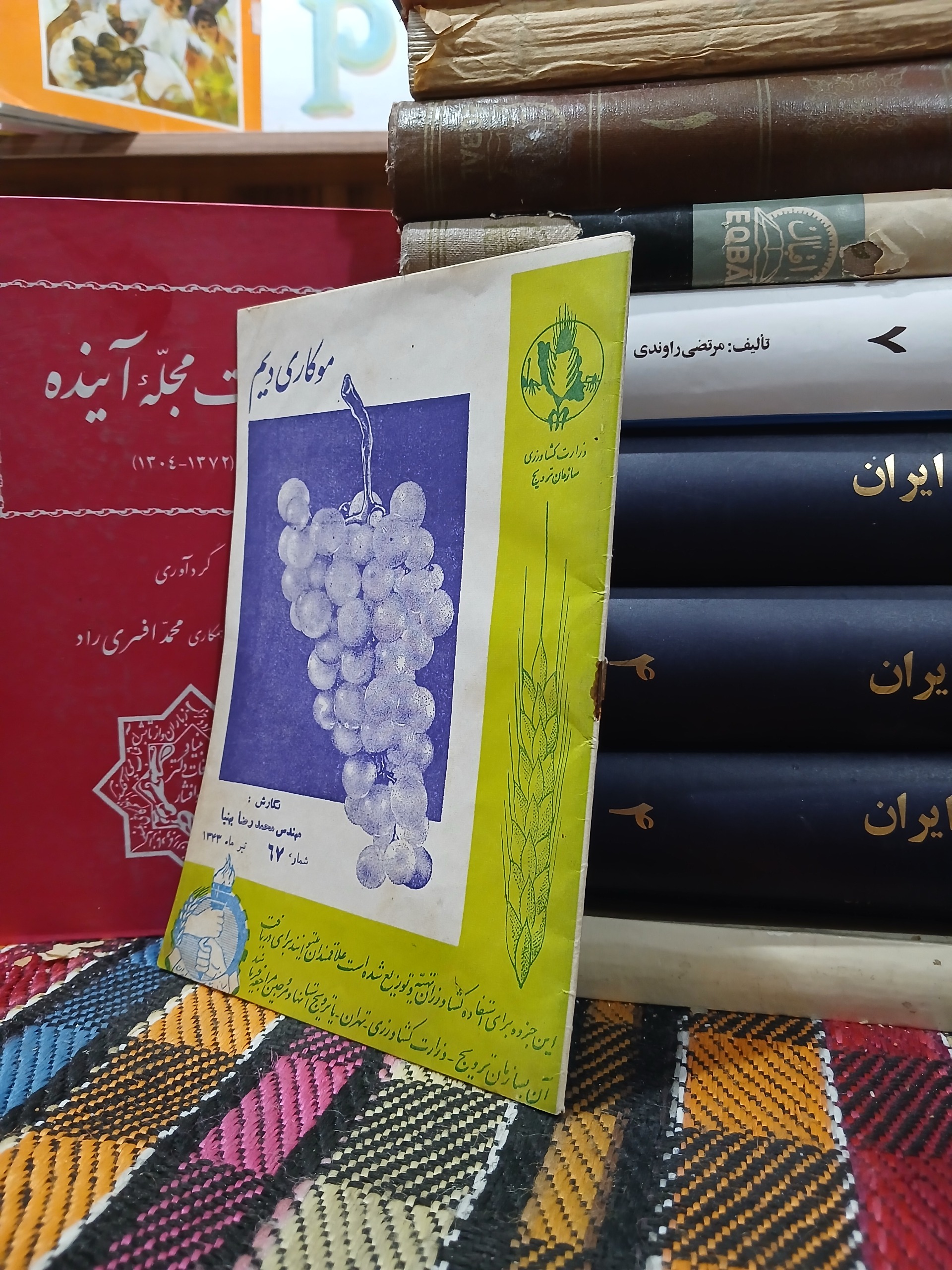 مو کاری دیم