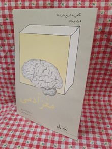 مغز