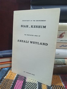 سیاه