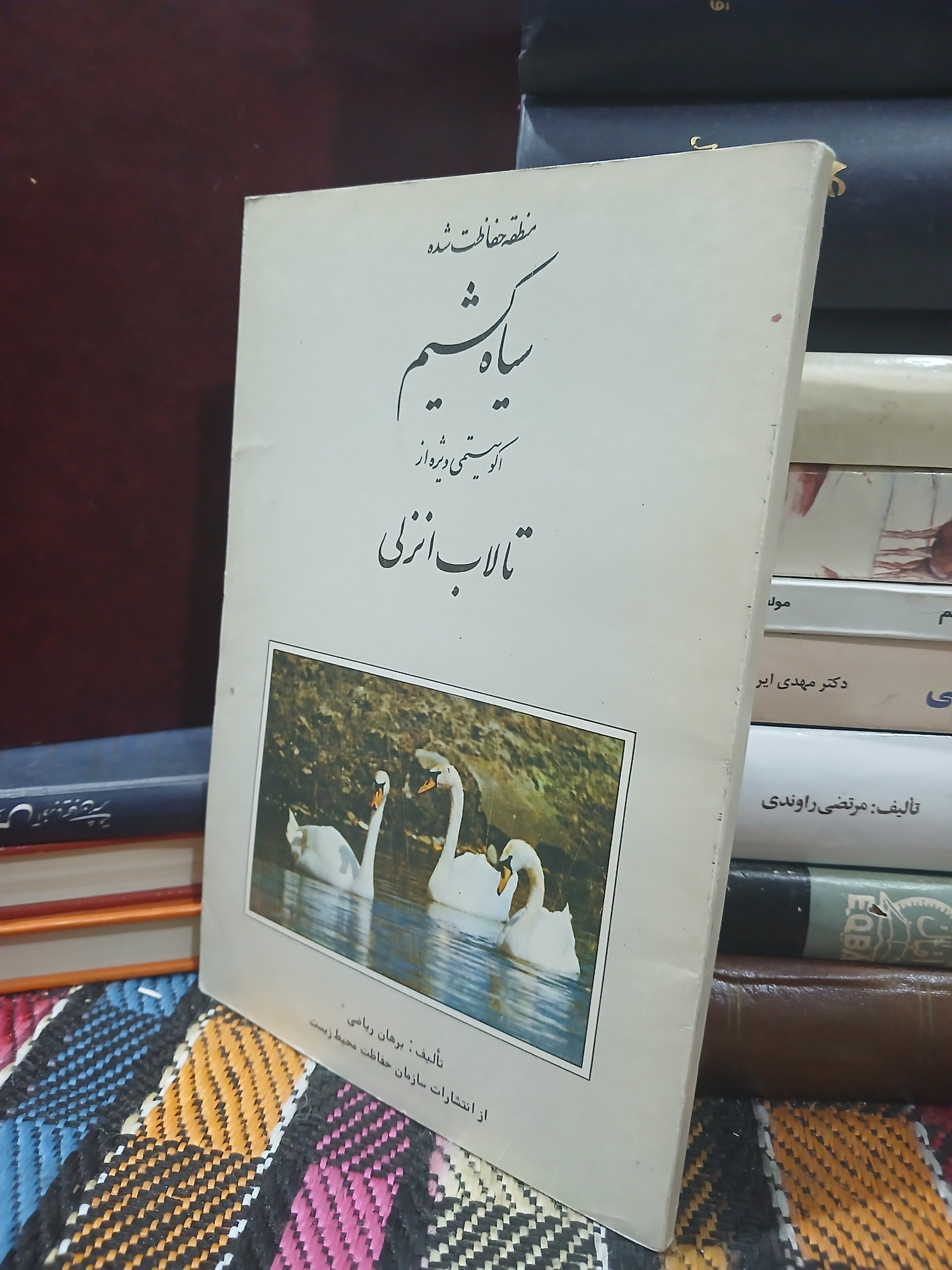 سیاه کشیم