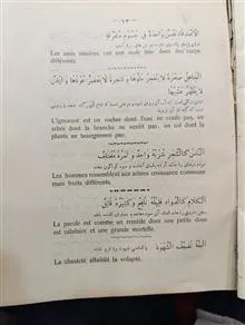 کلمات