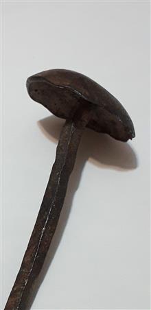 میخ