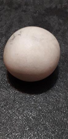 سنگ
