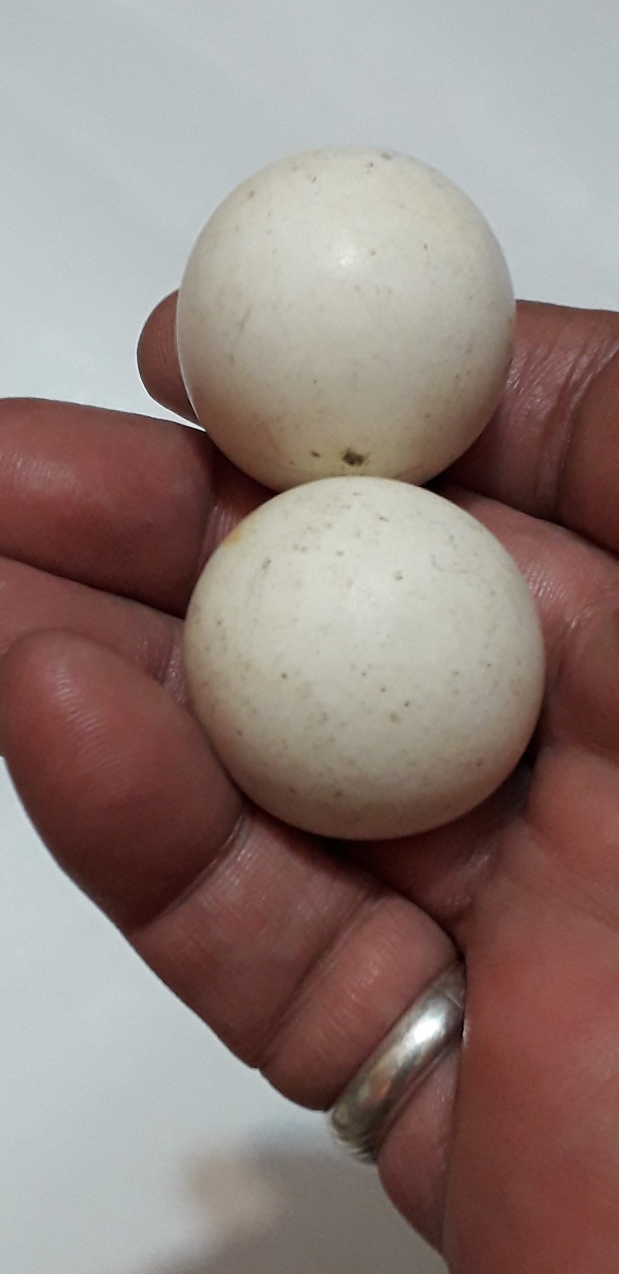 دو عدد سنگ اسیاب یا گبری به وزن 129گرم