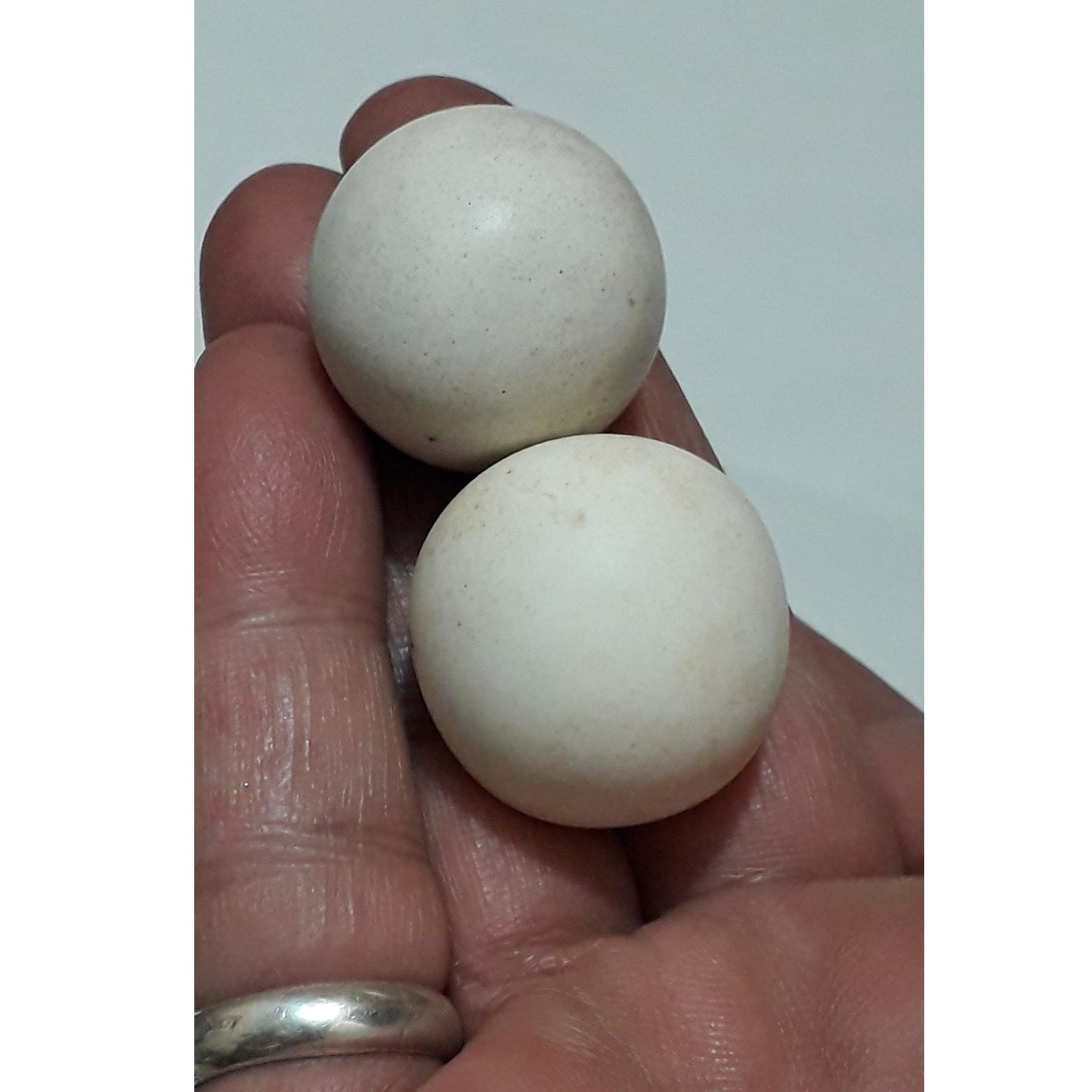 2عدد سنگ اسیاب یا سنگ گبری با درجه سختی بالا