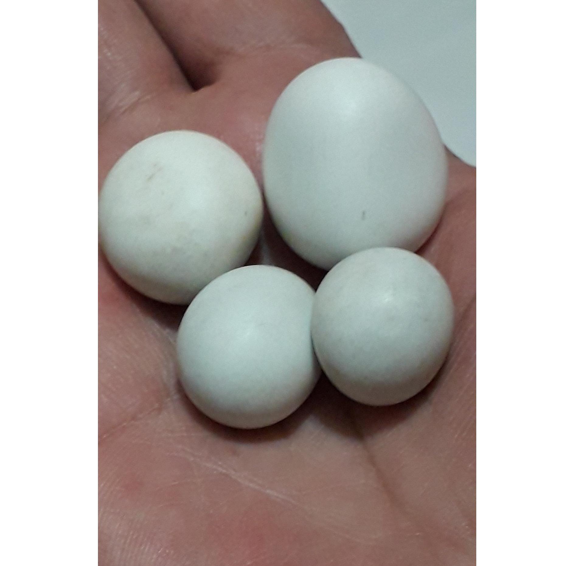 4عدد سنگ آسیاب یا سنگ گبری با درجه سختی بالا